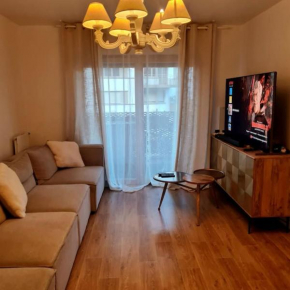 Appart Cosy Family near JO2024